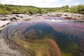 We did not find results for: Cano Cristales Meta Colombia By Dantebw On Deviantart