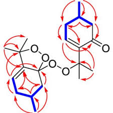 Image result for Equilabium petiolare