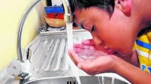 Weißenfelser Wasser unter der Lupe