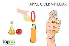 7 Home Remedies To Fight Ringworm Of The Scalp Top 10 Home Remedies