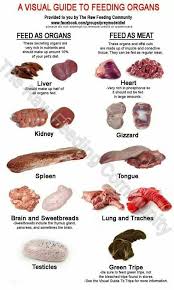 Raw Organ Feeding Chart Dog Raw Diet Raw Pet Food Dog Diet