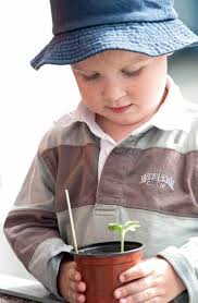 annual report2009/2010 Royal Agricultural Society of NSW