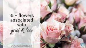 6 represents symmetry, kindness, compassion, harmony and community. 35 Flowers Associated With Grief And Loss Flower Meanings Grief Support