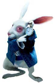 Alice In Wonderland Alice In Wonderland Artwork Alice In Wonderland Alice Rabbit