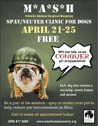 Animal welfare league of alexandria: Free Dog Spay Neuter M A S H Clinic April 21 To 25 Maui Now