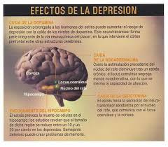 La depresión provoca angustia mental y afecta la capacidad de las personas para llevar a cabo hasta las tareas cotidianas más simples, como según la organización mundial de la salud (oms), la depresión como trastorno afectaría a 350 millones de personas en el. Hospital Juarez De Mexico A Twitter 13 De Enero Dia Mundial De La Lucha Contra La Depresion Http T Co J330yh4r21