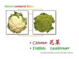 What is the plural of cauliflower cheese? Learn Chinese How To Say Carrot Cauliflower Cantaloupe And Cherry In Chinese Youtube