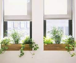 A wide variety of indoor window planters options are available to you, such as usage condition, material, and plastic type. Windowbox Planters Best Office Plants Indoor Window Planter Window Plants