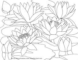 Flower Coloring Pages Fuchsia Water Lily Water Lily Drawing Lilies Drawing Coloring Book Art