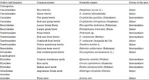 If you are the listener, your ears perceive a major scale as having a different personality than. Effect Of Selected Botanicals And Local Seed Storage Practices On Maize Insect Pests And Health Of Maize Seeds In Jimma Zone Scialert Responsive Version