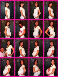 Dezvoltarea foliculilor ovarieni incepe in ziua 1 a ciclului menstrual, care coincide cu prima zi a menstruatiei. 5 Idei Pentru Poze Pe Parcursul Sarcinii Copilul Ro