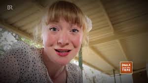 Adler, Geier & Co. (Doku)