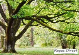 How to hang a swing between two trees. How To Hang A Tree Swing In Your Back Garden Ropes Direct Ropes Direct