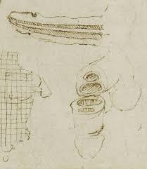 There is a printable worksheet available for download here so you can take the quiz with pen and paper. Leonardo Da Vinci And The Origin Of Semen Notes And Records The Royal Society Journal Of The History Of Science