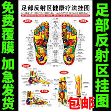 Usd 6 49 Tcm Culture Poster Foot Reflex Zone Health Liao