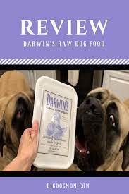 5 Reasons Why Darwin S Raw Dog Food Is Great For Big Dogs Raw Dog Food Recipes Dog Food Recipes Dog Nutrition