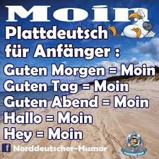 Tshirt Hoodie Shirt Pullover Fussmatte Norddeutsch Platt Plattdeutsch Ostsee Nordsee Schleswighol Plattdeutsch Spruch Lustige Worter Einstein Zitate