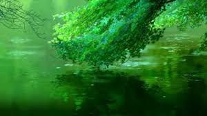 The great collection of anime forest background for desktop, laptop and mobiles. Movie The Garden Of Words Anime Rain Hd Wallpaper Background Paper Print Movies Posters In India Buy Art Film Design Movie Music Nature And Educational Paintings Wallpapers At Flipkart Com