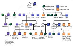 Hemophilia Royal Family Photos Pictures Victoria Family Tree Queen Victoria Family Tree Queen Victoria Family