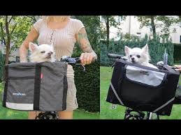 Hundefahrradkorb Test 2020 Die Besten 5 Fahrradhundekorbe