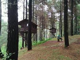 Taman dayu waterpark 2,4 km. Rumah Pohon Taman Dayu