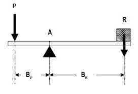 Perspectiva analítica vectorial de las palancas anatómicas en el ...