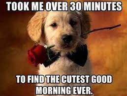 100 Good Morning Memes Images Of Good Morning Quotes Boom Sumo
