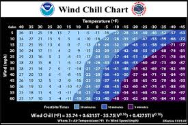 Image result for Wind Chill 2024 TX
