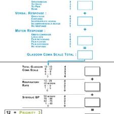 Pdf Different Types Of Triage