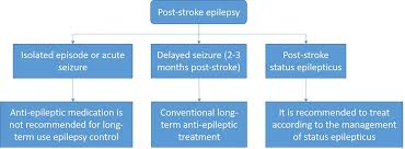 One commonly accepted method is the oxford stroke classification, also known as the bamford classification. Chinese Stroke Association Guidelines For Clinical Management Of Cerebrovascular Disorders Executive Summary And 2019 Update Of Clinical Management Of Ischaemic Cerebrovascular Diseases Stroke And Vascular Neurology