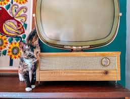 Image result for Pink 1958 Philco