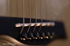 Spc is warm and mellow, ideal for classical and folk style tone, but is prone to tarnishing quickly. How To Choose Guitar Strings The Basics Elixir Strings