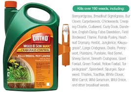 2019 What S The Best Weed Killer For Lawns Will They Work