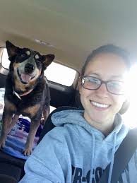 Pets enjoying time after rainbow bridge