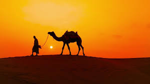See more ideas about camels art, camel, art. Desert Safari Illustration Free Stock Photo By Mohamed Hassan On Stockvault Net