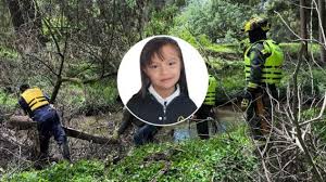 Hallan sin vida a Valeria Afanador, niña que desapareció en Cajicá: estaba  dentro del río Frío - NoticiasCaracol