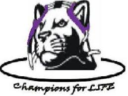 The Takedown Newsletter: December 2008