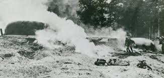 Image result for LG Black 1990 US Government