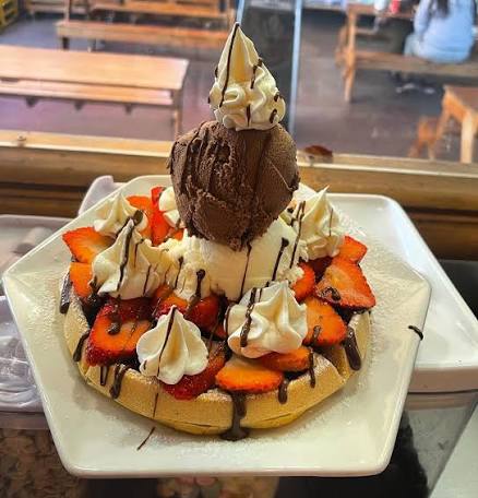 Waffle with Ice Cream