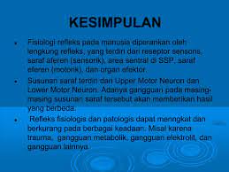 Berikut ini materi makalah pengertian, mekanisme, dan proses terjadinya. Makalah Lengkung Refleks Makalah Gerak Reflek Kumpulan Makalah Lengkung Refleks Pada Umunya Terdiri Dari Reseptor Neuron Sensoris Interneuron Neuron Motoris Dan Organ Efektor