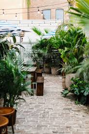 Trending On Remodelista 5 Design Ideas For Houseplants Gardenista Beer Garden Ideas Tropical Patio Houseplants
