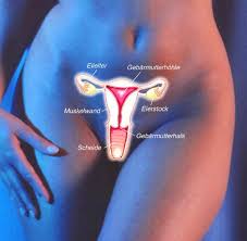 Immunsystem Sex Kann Blasenentzundung Verursachen Welt