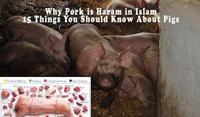 Eating pork can be divided in to two categories. Facebook