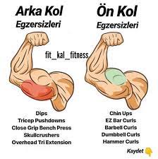 guzel bir on kol arka kol programi kendi antrenman durumunuza ve gelisiminize gore hareketleri cikartip ekleyebilirsiniz vucut gelistirmeci biseps diyet