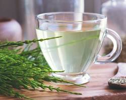 Horsetail for osteoporosis