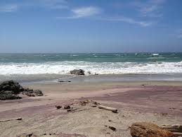 The hike to the campground is about 1/3 mile and is relatively flat. Andrew Molera State Park Parks People