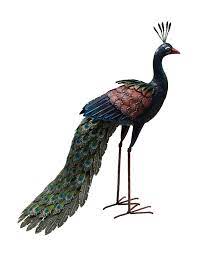 Gartenfiguren aller art bieten sich im garten als besonders originelle dekorationsidee an. Pfau Metall Huhner Vogel Deko Garten Tier Kaufland De
