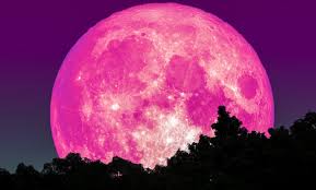Fotos | así fue el eclipse de superluna de lobo de sangre normalmente, hay 12 lunas llenas en un año porque una ocurre cada mes. Superluna Rosa Abril Que Es Y Cuando Se Puede Ver En 2020