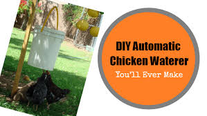 Maybe you would like to learn more about one of these? Homemade Diy Automatic Chicken Poultry Care Sunday Facebook