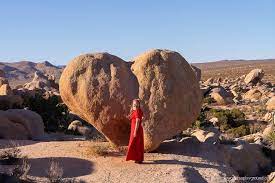 We did not find results for: How To Get To Heart Rock Joshua Tree The Whole World Is A Playground